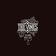 VINES/VISION VALLEY